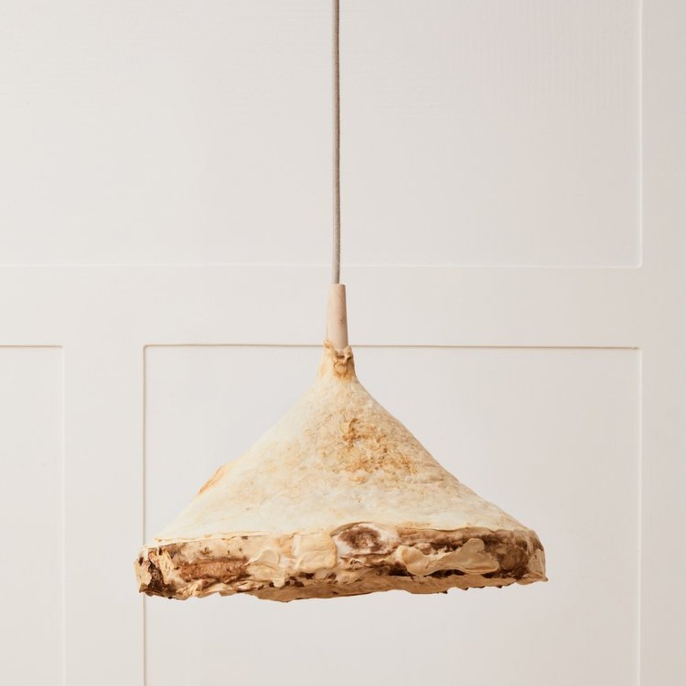 Large mycelium ceiling pendant